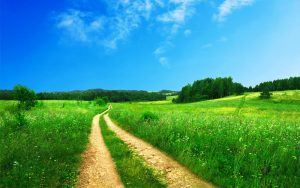 Read more about the article Transgressing The Prescribed Spiritual Path